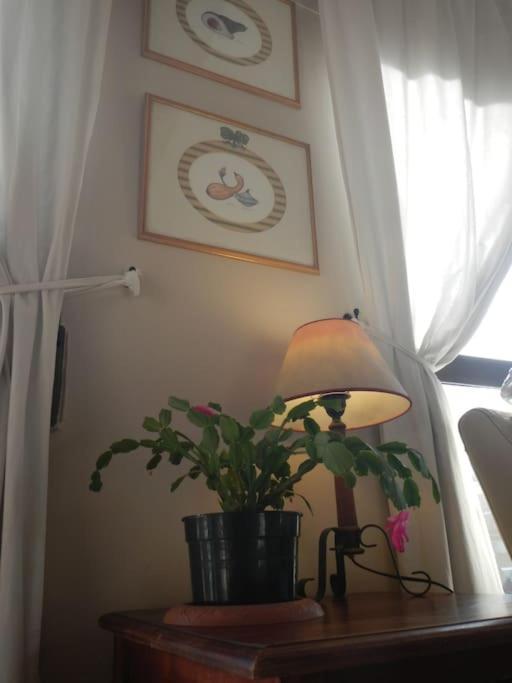 Penthouse!!! Center Of Seville!!! 2 Bedroom + 2 Bath!!! * Siviglia